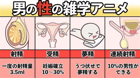 オナニー 男性ホルモン|射精は体にいい？ 